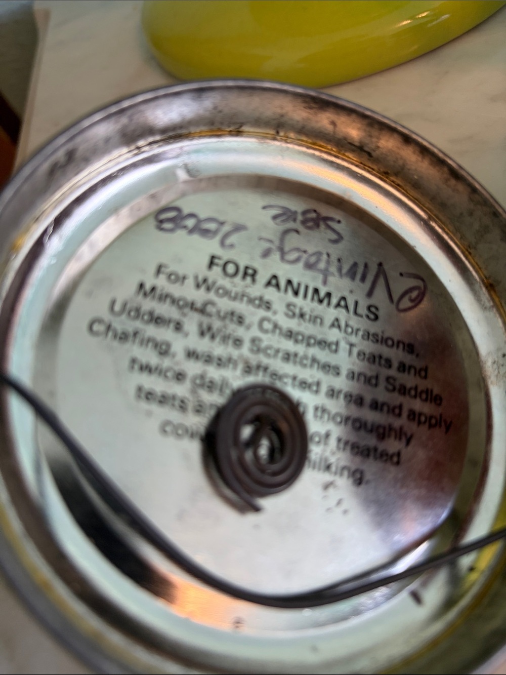 Found Objects - Picture 6 of 7